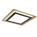 Trio 641510280 LED přisazené stropní svítidlo Morgan 1x46W | 6000lm | 2700-6000K | IP20 - nastavitelná barva světla ve stupních + plynulé nastavení barvy světla, integrovaný stmívač, funkce pamětí, noční režim, dálkové ovládání, časový spínač, čená/zlatá