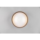 Trio R64191141 LED stropní svítidlo Locarno 1x12W | 1160lm | 3000K | IP20 - taupe, bílá