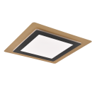 Trio 641510280 LED přisazené stropní svítidlo Morgan 1x46W | 6000lm | 2700-6000K | IP20 - nastavitelná barva světla ve stupních + plynulé nastavení barvy světla, integrovaný stmívač, funkce pamětí, noční režim, dálkové ovládání, časový spínač, čená/zlatá