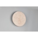 Trio 234510101 LED nástěnné svítidlo ROBIN | 4W integrovaný LED zdroj | 370lm | 3000K