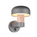 Trio T262569135 venkovní nástěnné svítidlo FRASER E27