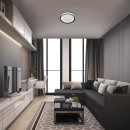 Rabalux 3510 LED stropní svítidlo Everest 1x40W | 3200lm | 2700-6500K | RGB - dálkové ovládání, nastavitelná teplota osvětlení, paměťová funkce, časovač, Wi-Fi, noční režim, stmívatelné, stříbrná