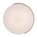 Rabalux 3527 LED stropní svítidlo Maple 1x24W | 1890lm | 3000K - dřevo, bílá