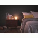 Philips 37302/38/16 LED lampička Ortega 1x3W