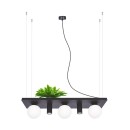 Zuma Line 5555 závěsné stropní svítidlo PLANT | 10W E14