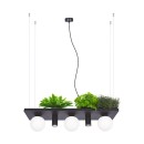 Zuma Line 5555 závěsné stropní svítidlo PLANT | 10W E14