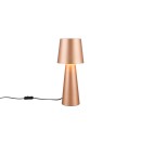 Trio T562900165 stolní lampička NUBIAN E27