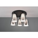 Trio SELECT  T617500554 přisazené stropní svítidlo BARRET   E14