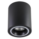 Rabalux 98071160 bodové stropní svítidlo Kobald  GU10