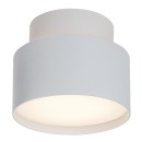 Rabalux 98071324 LED přisazené stropní svítidlo Ovidia | 16W integrovaný LED zdroj | 920lm | 3000K