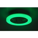 Rabalux 98071333 LED ventilátor s osvětlením Dalfon2 | 48W integrovaný LED zdroj | 3500lm | 3000-6500K