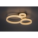 Rabalux 98071383 LED přisazené stropní svítidlo Amilia | 24W integrovaný LED zdroj | 2400lm | 3000+4000+6500K