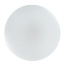 Rabalux 71442 LED přisazené stropní svítidlo Danny2 | 34W integrovaný LED zdroj | 2800lm | 3000-6500K | dálkové ovládání | stmívač | bílá
