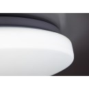 Rabalux 71442 LED přisazené stropní svítidlo Danny2 | 34W integrovaný LED zdroj | 2800lm | 3000-6500K | dálkové ovládání | stmívač | bílá