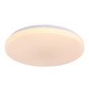 Rabalux 71442 LED přisazené stropní svítidlo Danny2 | 34W integrovaný LED zdroj | 2800lm | 3000-6500K | dálkové ovládání | stmívač | bílá