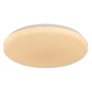Rabalux 71446 LED přisazené stropní svítidlo Danny2 | 34W integrovaný LED zdroj | 2800lm | 3000-6500K | dálkové ovládání | stmívač | bílá