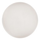 Rabalux 71447 LED přisazené stropní svítidlo Danny2 | 60W integrovaný LED zdroj | 4600lm | 3000-6500K | dálkové ovládání | stmívač | bílá