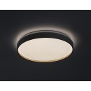 Rabalux 71452 LED přisazené stropní svítidlo Zerava | 34W integrovaný LED zdroj | 2200lm | 3000-6500K | dálkové ovládání | stmívač | zlatá