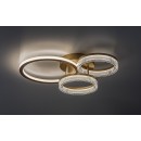 Rabalux 71473 LED přisazené stropní svítidlo Rivona | 38W integrovaný LED zdroj | 3500lm | 3000-6500K | dálkové ovládání | stmívač | zlatá