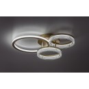 Rabalux 71473 LED přisazené stropní svítidlo Rivona | 38W integrovaný LED zdroj | 3500lm | 3000-6500K | dálkové ovládání | stmívač | zlatá
