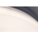 Rabalux 71502 LED přisazené stropní svítidlo Lucas2 | 18W integrovaný LED zdroj | 1450lm | 4000K | bílá