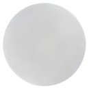 Rabalux 71504 LED přisazené stropní svítidlo Lucas2 | 12W integrovaný LED zdroj | 1050lm | 4000K | bílá
