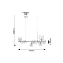 Rabalux 98072298 závěsné stropní svítidlo Aslov  G9