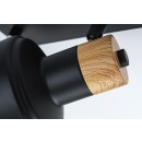 Rabalux 98073056 bodové stropní svítidlo Saskia  E14