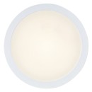 Rabalux 75072 LED venkovní stropní svítidlo ShaunPlus | 24W integrovaný LED zdroj | 2600lm | 4000K | bílá