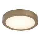 Rabalux 75078 LED venkovní stropní svítidlo ShaunPlus | 24W integrovaný LED zdroj | 2600lm | 4000K | zlatá