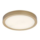 Rabalux 75079 LED venkovní stropní svítidlo ShaunPlus | 30W integrovaný LED zdroj | 3000lm | 4000K | zlatá