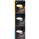 Rabalux 98077119 LED venkovní nástěnné svítidlo Batida | 9W integrovaný LED zdroj | 900lm | 2700+4000K