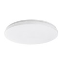 Rabalux 98077135 LED venkovní stropní svítidlo Lowar  | 36W integrovaný LED zdroj | 2300lm | 3000+4000+6500K