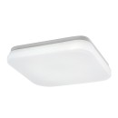 Rabalux 98077138 LED venkovní stropní svítidlo Lowar | 18W integrovaný LED zdroj | 1150lm | 4000K