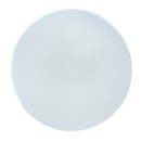 Rabalux 98077182 LED venkovní stropní svítidlo Lowar | 18W integrovaný LED zdroj | 1100lm | 3000K