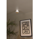 Lucide L099410131 přisazené stropní svítidlo TORBEN  GU10