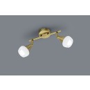 TRIO 803100204 Trumpet Spot E14 2x40W