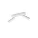 Trio T849210231 LED bodové stropní svítidlo AMBALA integrovaný LED zdroj | 2x500lm | 2300+3000+4000K