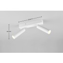 Trio T849210231 LED bodové stropní svítidlo AMBALA integrovaný LED zdroj | 2x500lm | 2300+3000+4000K