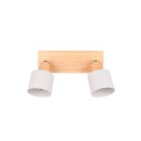 Trio T862700276 bodové stropní svítidlo SHANTI  E14