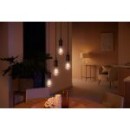 Philips Hue 8719514301467 LED filamentová žárovka ST64 1x7W | E27 | 550lm | 2200-4500K - stmívatelná, Bluetooth, White Ambiance