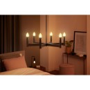 Philips Hue 8719514302211 LED filamentová žárovka 2x4,5W | E14 | 3000lm | 2100K - set 2 ks, Bluetooth, stmívatelná, White