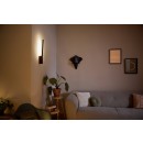 Philips Hue 8719514343429 LED nástěnné svítidlo Liane 1x20W | 900lm | 2000-6500K | RGB - stmívatelné, Bluetooth, White and color ambiance, černá