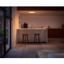 Philips Hue  8721103044594 přisazené stropní svítidlo Surimu  | 60W integrovaný LED zdroj | 2850lm | 2000-6500K | rgb - barevné | stmívač | bílá