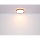 Globo 41764-24 LED stropní svítidlo Bruno 1x24W | 1000lm | 3000-4500-6000K - opál, černá, hnědá