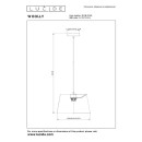 Lucide L104160166 závěsné stropní svítidlo WOOLLY  E27