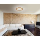 Globo GLB41767R LED přisazené stropní svítidlo CLAY  | 24W integrovaný LED zdroj | 1370lm | 2700-6500K