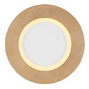 Globo GLB41767R LED přisazené stropní svítidlo CLAY  | 24W integrovaný LED zdroj | 1370lm | 2700-6500K