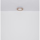 Globo GLB41767R LED přisazené stropní svítidlo CLAY  | 24W integrovaný LED zdroj | 1370lm | 2700-6500K