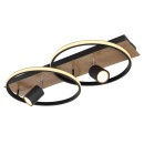 Globo GLB67309-36 LED přisazené stropní svítidlo DANNY  | 36W integrovaný LED zdroj | 2020lm | 3000K